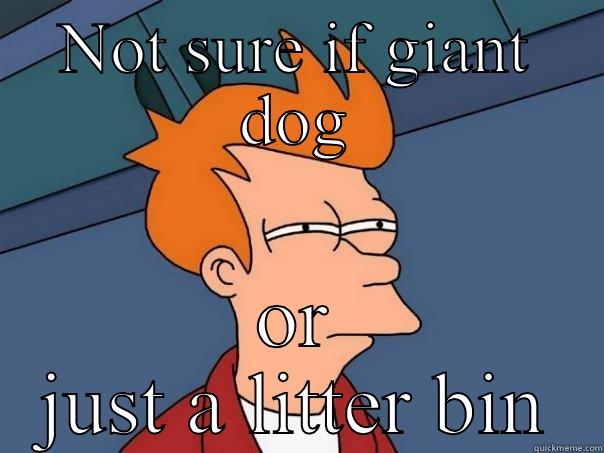 NOT SURE IF GIANT DOG OR JUST A LITTER BIN Futurama Fry