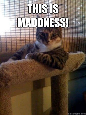 THIS IS MADDNESS!   The Most Interesting Cat in the World