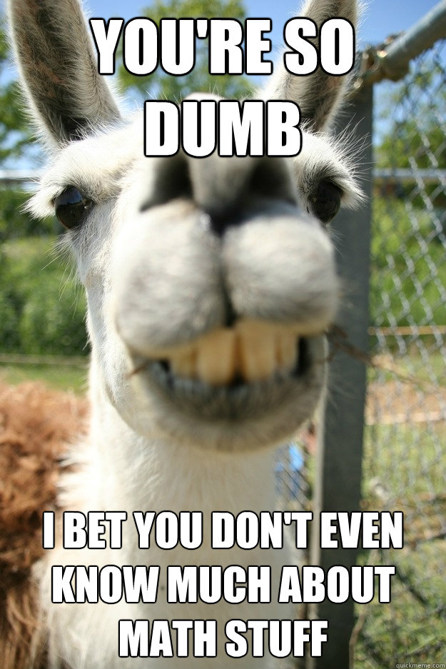 you're so dumb i bet you don't even know much about math stuff - you're so dumb i bet you don't even know much about math stuff  Lame Insult Llama
