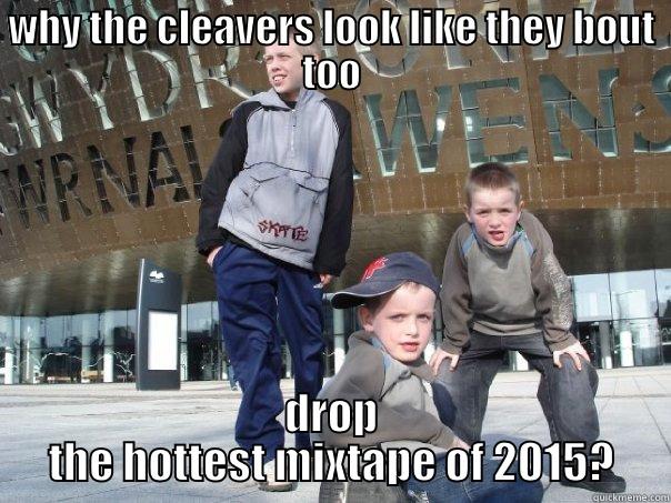 cleavers  - WHY THE CLEAVERS LOOK LIKE THEY BOUT TOO DROP THE HOTTEST MIXTAPE OF 2015? Misc