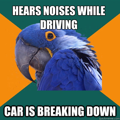 Hears noises while driving car is breaking down  Paranoid Parrot