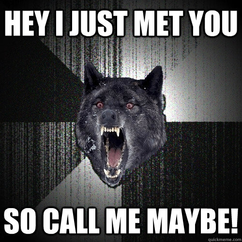 HEY I JUST MET YOU SO CALL ME MAYBE!  Insanity Wolf