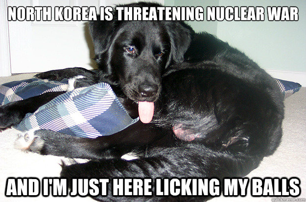 North Korea is threatening nuclear war And I'm just here licking my balls - North Korea is threatening nuclear war And I'm just here licking my balls  Dog Licking Balls