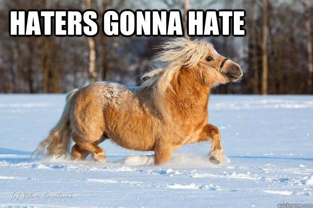 haters gonna hate - haters gonna hate  pony