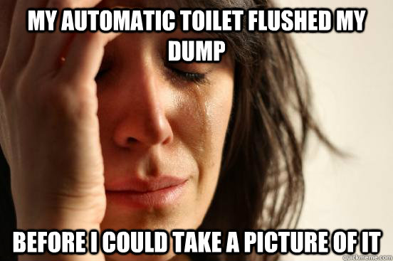 My automatic toilet flushed my dump before i could take a picture of it  First World Problems