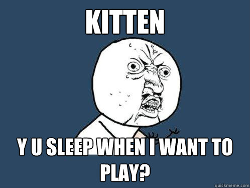 Kitten y u sleep when i want to play?  Y U No