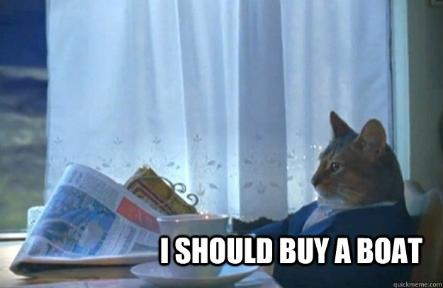 i should buy a boat  Sophisticated Cat