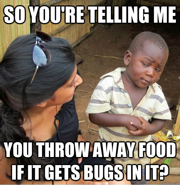 So you're telling me you throw away food if it gets bugs in it?  Skeptical Third World Kid