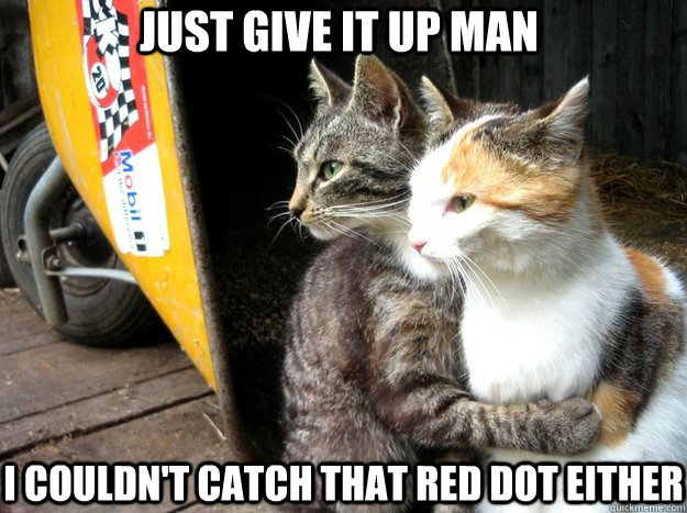 Just give it up man I couldn't catch that red dot either - Just give it up man I couldn't catch that red dot either  Restraining Cat