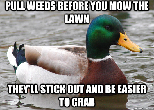 Pull weeds before you mow the lawn They'll stick out and be easier to grab  Actual Advice Mallard