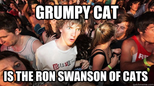 Grumpy Cat Is the ron swanson of cats   Sudden Clarity Clarence