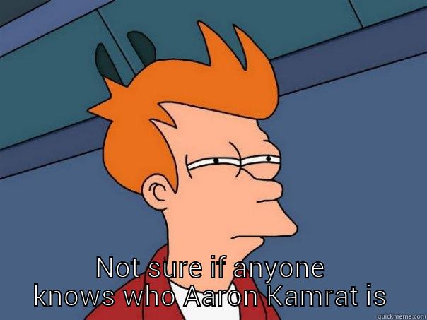 NOT SURE IF ANYONE KNOWS WHO AARON KAMRAT IS Futurama Fry