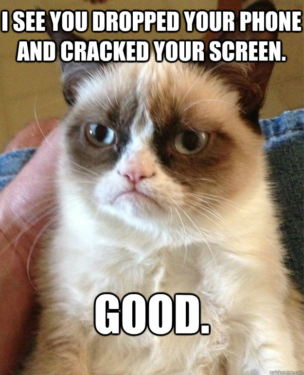 I see you dropped your phone and cracked your screen. Good. - I see you dropped your phone and cracked your screen. Good.  Grumpy Cat