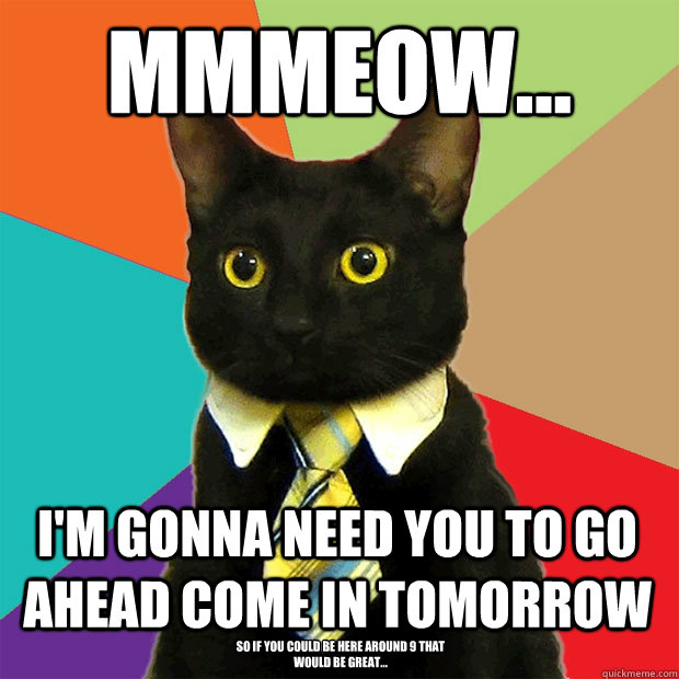 MMMeow... I'm gonna need you to go ahead come in tomorrow So if you could be here around 9 that would be great...  Business Cat