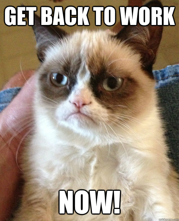 Get back to work now!  Angry Cat