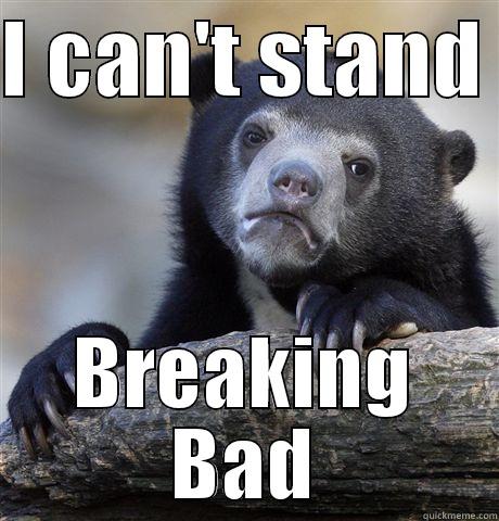 I CAN'T STAND  BREAKING BAD Confession Bear