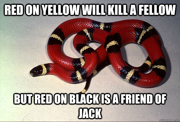 red on yellow will kill a fellow but red on black is a friend of jack - red on yellow will kill a fellow but red on black is a friend of jack  Safety Snake