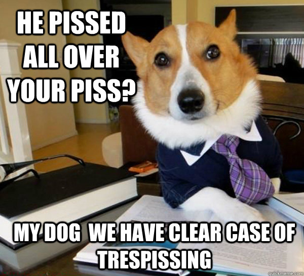He pissed all over your piss? my dog  we have clear case of trespissing  Lawyer Dog