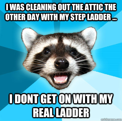 i was cleaning out the attic the other day with my step ladder ... i dont get on with my real ladder  Lame Pun Coon