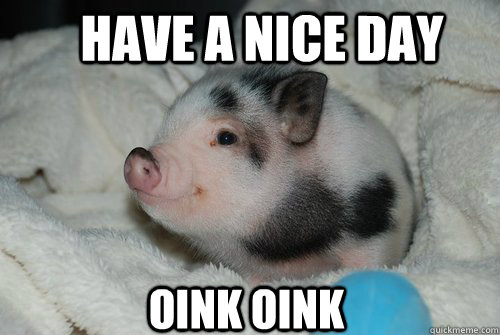 Have a nice day oink oink - Have a nice day oink oink  cute pig