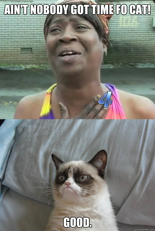 Ain't nobody got time fo cat! good.  sweet brown and grumpy cat
