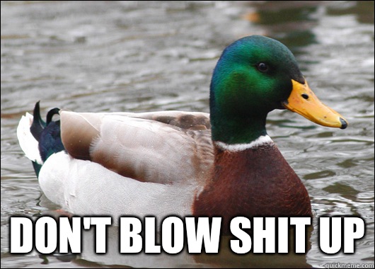  Don't blow shit up  Actual Advice Mallard
