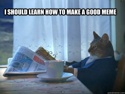 I should learn how to make a good meme - I should learn how to make a good meme  1% Cat