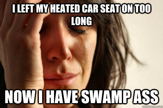 I left my heated car seat on too long Now i have swamp ass  First World Problems