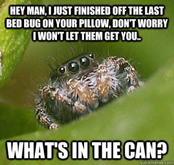 hey man, i just finished off the last bed bug on your pillow, don't worry i won't let them get you.. What's in the can? - hey man, i just finished off the last bed bug on your pillow, don't worry i won't let them get you.. What's in the can?  Misunderstood Spider