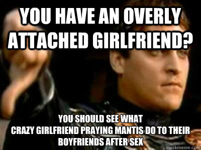 You have an Overly Attached Girlfriend? You should see what
Crazy Girlfriend Praying Mantis do to their boyfriends after sex  Downvoting Roman