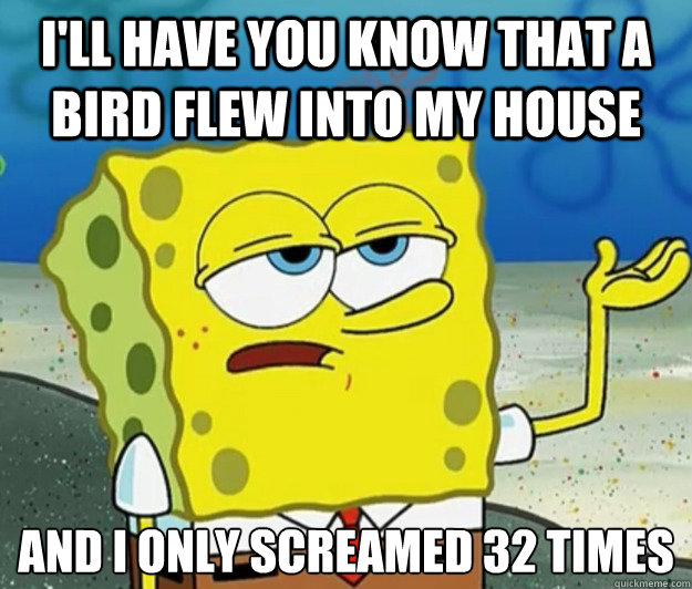 I'll have you know that a bird flew into my house and I only screamed 32 times  Tough Spongebob
