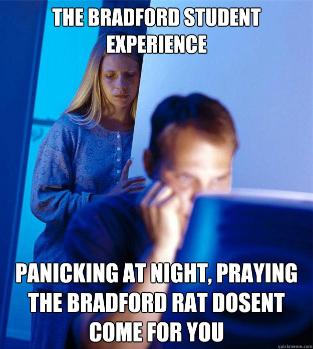 The Bradford Student Experience  Panicking At Night, Praying The Bradford Rat Dosent Come For You  Redditors Wife