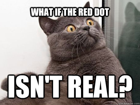 what if the red dot isn't real? - what if the red dot isn't real?  conspiracy cat