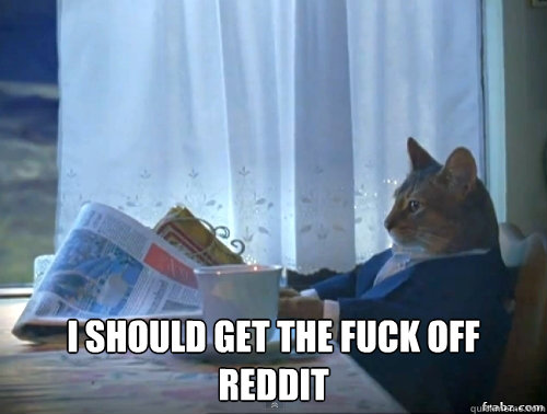  I should get the fuck off reddit -  I should get the fuck off reddit  Contemplative Breakfast Cat