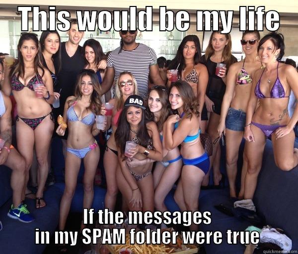 My life if my SPAM folder were true -    THIS WOULD BE MY LIFE    IF THE MESSAGES IN MY SPAM FOLDER WERE TRUE Misc