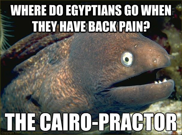 where do egyptians go when they have back pain? THE CAIRO-PRACTOR - where do egyptians go when they have back pain? THE CAIRO-PRACTOR  Bad Joke Eel