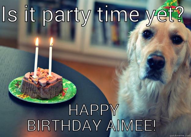 Aimee's Birthday! - IS IT PARTY TIME YET?  HAPPY BIRTHDAY AIMEE!  Sad Birthday Dog