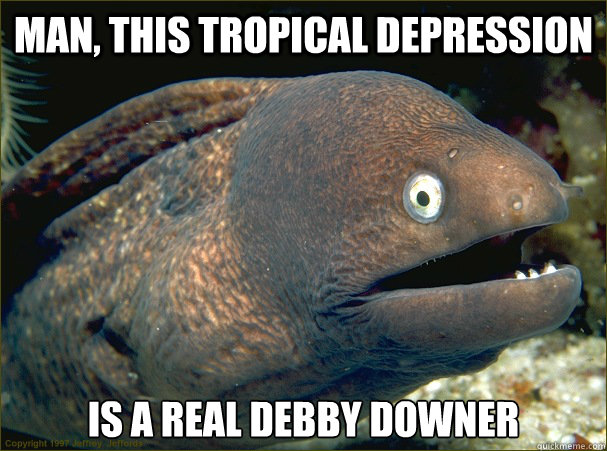 Man, This Tropical Depression is a real debby downer  Bad Joke Eel