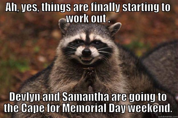 AH, YES, THINGS ARE FINALLY STARTING TO WORK OUT . DEVLYN AND SAMANTHA ARE GOING TO THE CAPE FOR MEMORIAL DAY WEEKEND. Evil Plotting Raccoon
