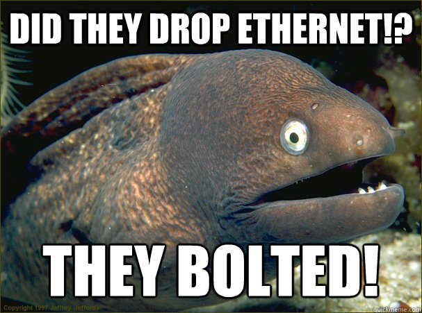 did they drop ethernet!? They bolted!  Bad Joke Eel