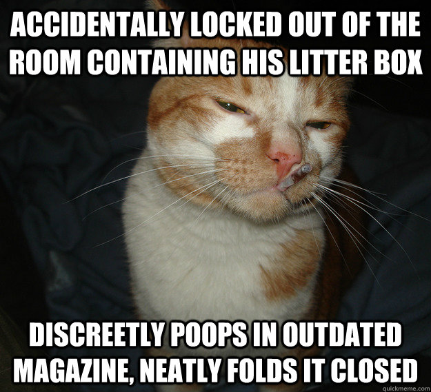 accidentally locked out of the room containing his litter box discreetly poops in outdated magazine, neatly folds it closed  Cool Cat Craig