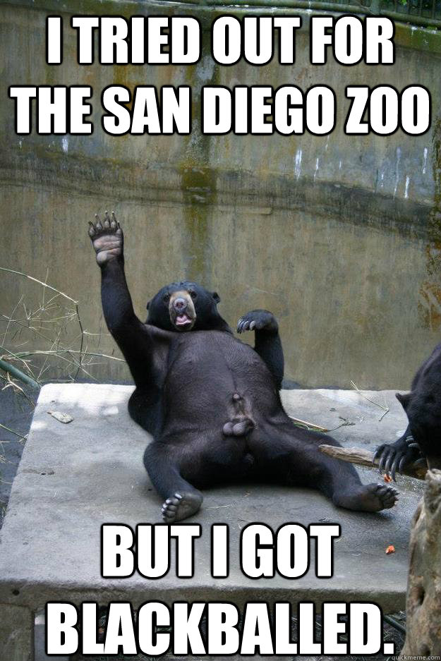 i tried out for the san diego zoo but i got blackballed. - i tried out for the san diego zoo but i got blackballed.  Balls Bear