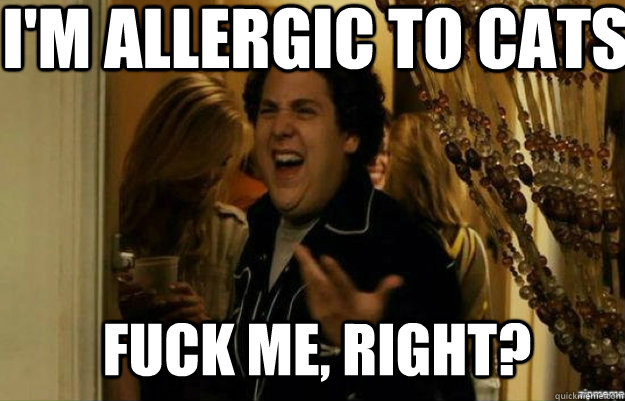 I'm allergic to cats FUCK ME, RIGHT?  fuck me right