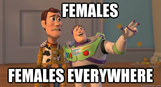 Females Females everywhere  Toy Story Everywhere