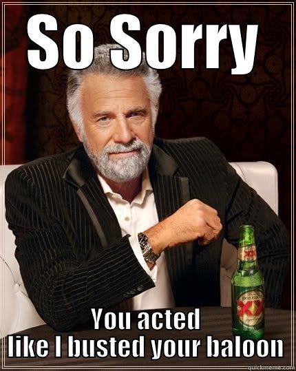 SO SORRY YOU ACTED LIKE I BUSTED YOUR BALOON The Most Interesting Man In The World