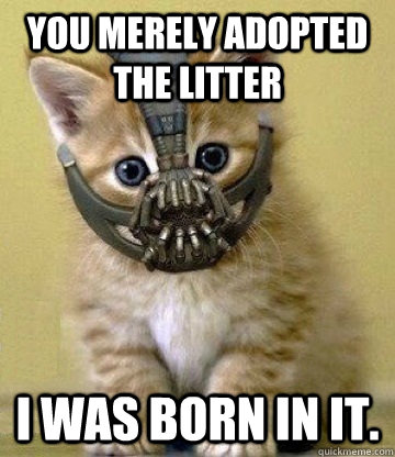 You merely adopted the litter I was born in it.  
