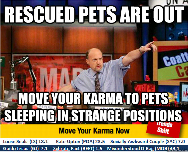 rescued pets are out Move your karma to pets sleeping in strange positions  Jim Kramer with updated ticker