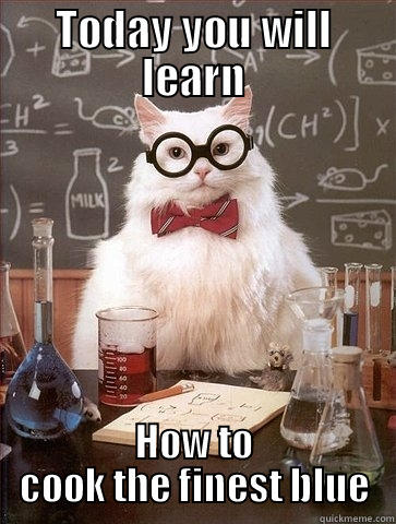 TODAY YOU WILL LEARN HOW TO COOK THE FINEST BLUE Chemistry Cat