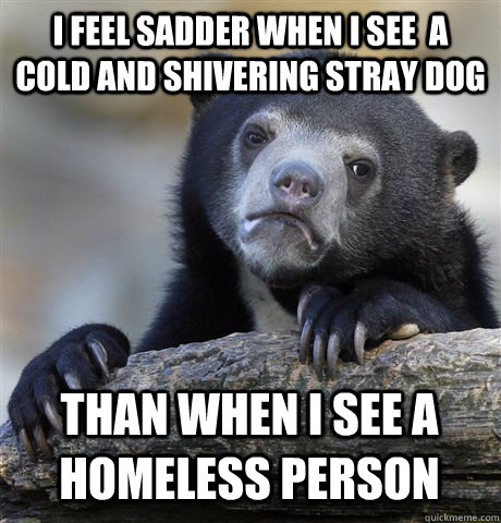 I FEEL SADDER WHEN I SEE  A COLD AND SHIVERING STRAY DOG THAN WHEN I SEE A HOMELESS PERSON - I FEEL SADDER WHEN I SEE  A COLD AND SHIVERING STRAY DOG THAN WHEN I SEE A HOMELESS PERSON  Confession Bear