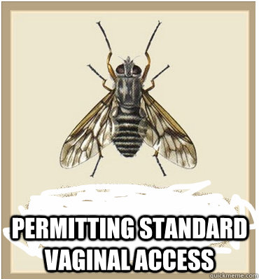  permitting standard vaginal access -  permitting standard vaginal access  feminist fly